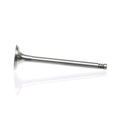 Kuva Pakoventtiili, Poistopuoli AUDI, CHRYSLER, DODGE, JEEP, MITSUBISHI, SEAT, SKODA, VW OE 03G 109 611 D, 03G109611D