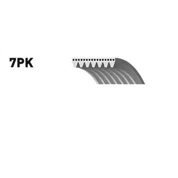 Kuva SNR CA7PK2711 Moniurahihna 2711 7 FORD: Transit Mk5 Bussi, Mk6 Van, Bussi
