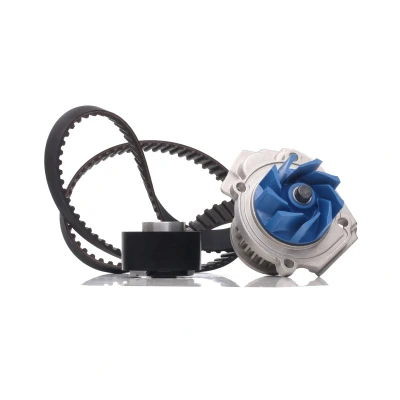 Kuva SKF VKMC 02204 3 Vesipumppu + Jakohihnasarja 124 FIAT: Stilo Hatchback, Multi Wagon, Punto II ALFA ROMEO: MiTo