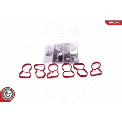 Kuva Korjaussarja, imusarjamoduuli BMW OE 11618507335, 11618515685
