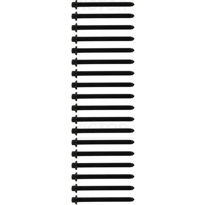 Kuva REINZ 14 10669 03 Kannen Pultit Torx, ulko