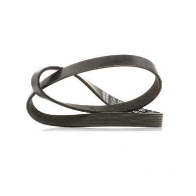 Kuva DAYCO 6PK1019EE Moniurahihna 1019,0 6 FORD: FOCUS 3 Turnier, FIESTA 5, 6, MAZDA: Sedan, Hatchback