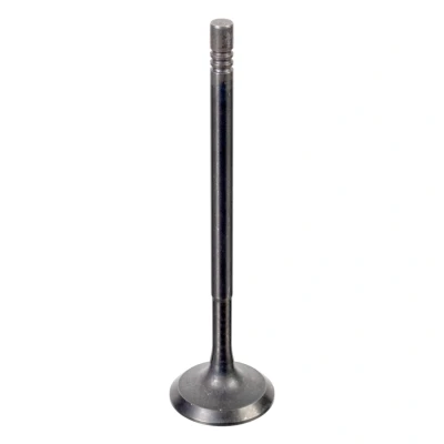 Kuva FEBI BILSTEIN 176538 Imuventtiili 27