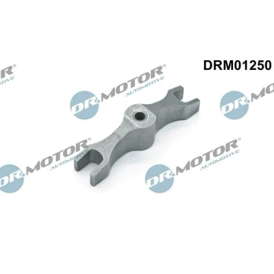 Kuva DR.MOTOR AUTOMOTIVE DRM01250 Pidike, Ruiskutusventtiili