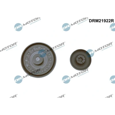 Kuva DR.MOTOR AUTOMOTIVE DRM21922R Kalvo, kampikammiotuuletus