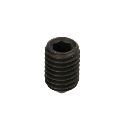 Kuva Euroricambi 60531248 Pinnaruuvi