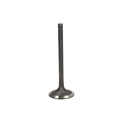 Kuva FRECCIA R4232/SNT Imuventtiili 45,5 Venttiilivarsi nitrattu