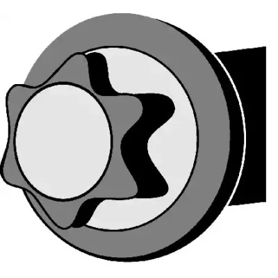 Kuva REINZ 14 32233 01 Kannen Pultit Torx, ulko PEUGEOT: 607 Sedan, Expert I Van, 807, FIAT: Scudo CITROËN: Jumper Bussi