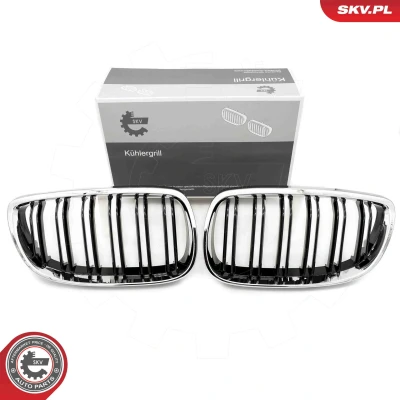 Kuva ESEN SKV 66SKV110 Etusäleikkö Kromi BMW: 3 Coupe, Sedan