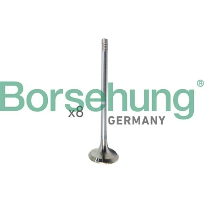 Kuva Borsehung B10322 Imuventtiili