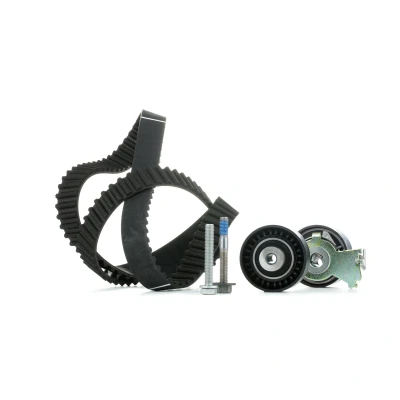 Kuva INA 530 0419 10 Jakohihnasarja 135 PEUGEOT: 307 Hatchback, Farmari, 207 Hatchback