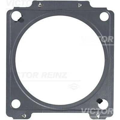 Kuva REINZ 71 42093 00 Pakoputken Tiiviste CITROËN: C3 Picasso, PEUGEOT: 307 Hatchback