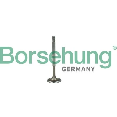 Kuva Borsehung B19019 Imuventtiili VOLKSWAGEN: Golf 5, Sharan II, Jetta 3, AUDI: A3 Hatchback, SKODA: Octavia II 2 Combi