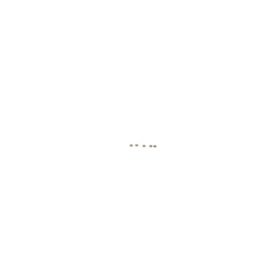 Kuva Suuttimen osat CR BOSCH F 00Z C99 727K