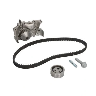 Kuva INA 530 0191 30 Vesipumppu + Jakohihnasarja Vesipumpulla RENAULT: MEGANE I Grandtour, 1 Classic,