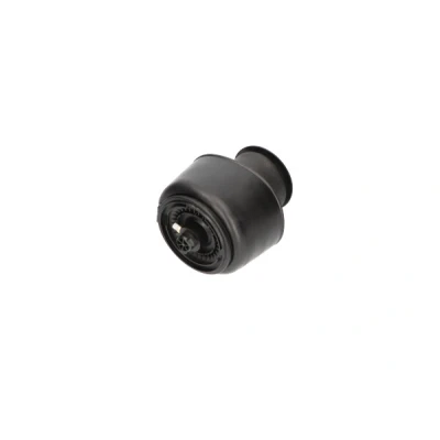 Kuva Ilmajousi, jousitus KAVO PARTS SAS 10001