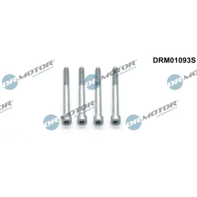 Kuva DR.MOTOR AUTOMOTIVE DRM01093S Ruuvi Ruiskutussuutinpidike CITROËN: Jumper II Bussi, Van, PEUGEOT: Boxer Bussi