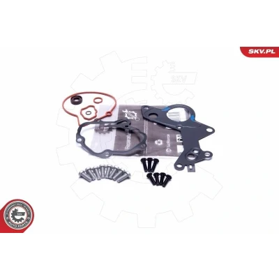 Kuva ESEN SKV 18SKV801 Alipainepumppu korjaussarja VOLKSWAGEN: Golf 4, Bora Sedan, Passat B5 Variant, SEAT: Altea