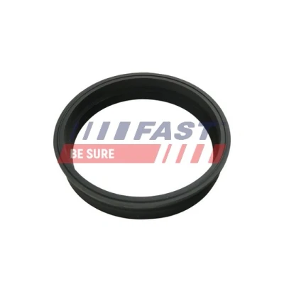 Kuva FAST FT48501 Tiiviste, Tankin Anturi AUDI: A4 B6 Avant, B5 A6 C5 Sedan, FIAT: Barchetta, Punto II Hatchback, VOLKSWAGEN: Multivan 5 (7HM