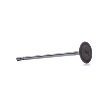 Kuva Imuventtiili AUDI, SEAT, SKODA, VW OE 04E109601A