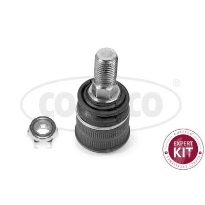 Kuva CORTECO 49395876 Alapallonivel Etuakseli, oikea, vasen, Alla, Sisempi MERCEDES BENZ: E sarja Sedan, T modell, CLS Coupe