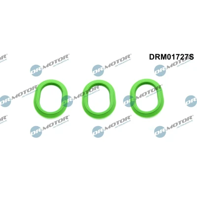 Kuva DR.MOTOR AUTOMOTIVE DRM01727S Tiivistesarja, Imusarja Yläpuolella