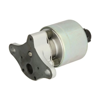Kuva EGR venttiili DELPHI EG10397