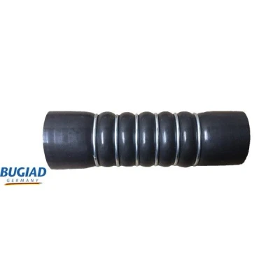 Kuva BUGIAD 82293 Ahdinletku