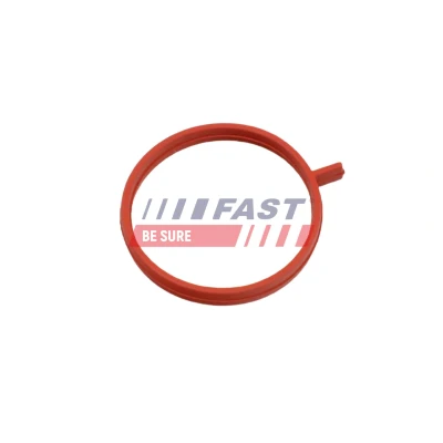 Kuva FAST FT48963 Tiivisterengas, ahtoilmaletku