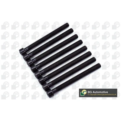 Kuva Sylinterikannen pulttisarja FORD OE 1760313, CM5G6065DB