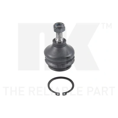 Kuva NK 5042303 Alapallonivel