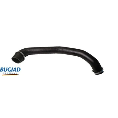 Kuva BUGIAD 82492 Ahdinletku Kuorilla