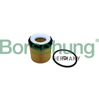 Kuva Borsehung B10441 Öljynsuodatin Suodatinpanos BMW: 5 Touring, Sedan, X1