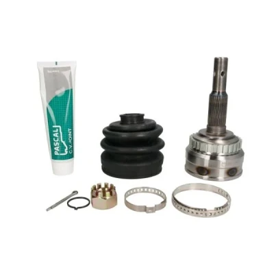 Kuva Nivel, vetoakseli PASCAL G1X012PC
