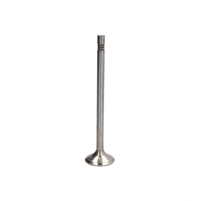 Kuva FRECCIA R6577/BMCR Pakoventtiili 38 venttiilinvarsi kromattu