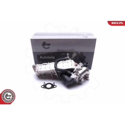 Kuva ESEN SKV 14SKV234 EGR Venttiili BMW: X3, 5 Sedan, Touring