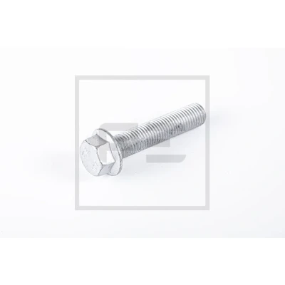 Kuva PETERS ENNEPETAL 045.774 00A Ruuvi