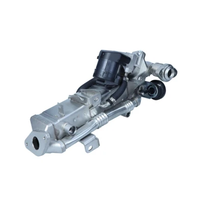 Kuva MAXGEAR 27 4135 EGR jäähdytin Tiivisteillä BMW: X1, X3, X5