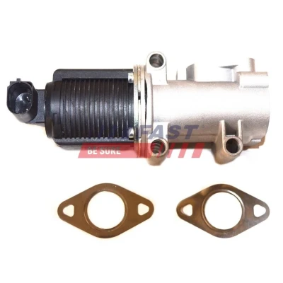 Kuva EGR venttiili FAST FT60213
