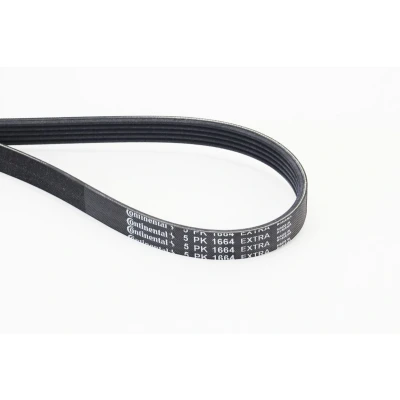 Kuva CONTITECH 5PK1664 EXTRA Moniurahihna 1664 5 OPEL: Karl