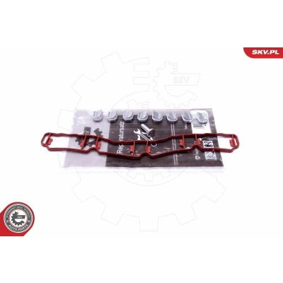 Kuva Korjaussarja, imusarjamoduuli AUDI, SEAT, SKODA, VW OE 06F133201N, 06F133201P