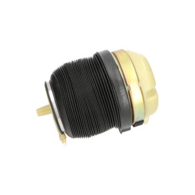 Kuva Ilmajousi, jousitus KAVO PARTS SAS 10009