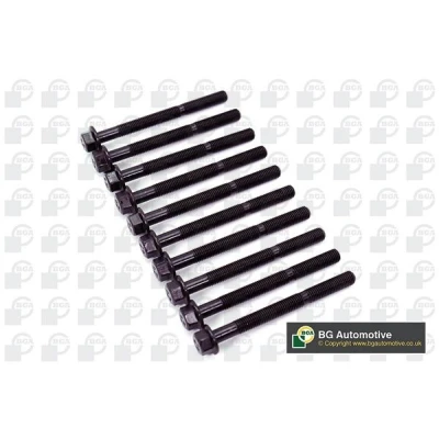Kuva Sylinterikannen pulttisarja ALFA ROMEO, FIAT, FORD, LANCIA OE 1549981, 7696197(x10), 7696197