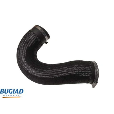Kuva BUGIAD 87649 Ahdinletku Kuorilla