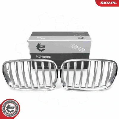 Kuva ESEN SKV 66SKV285 Etusäleikkö kromi BMW: X5