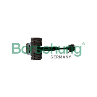 Kuva Borsehung B10279 Oven Pidin Takana