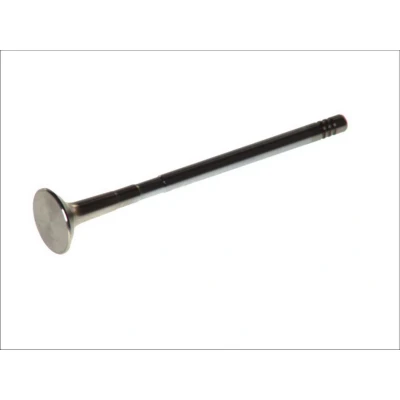Kuva FRECCIA R6305/BMCR Pakoventtiili 21,9 venttiilinvarsi kromattu OPEL: Meriva A, Astra H Hatchback, Caravan, FIAT: Doblo II Farmari