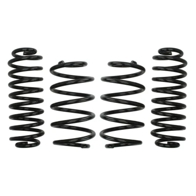 Kuva EIBACH Pro Kit E10 79 009 02 22 Madallusjouset