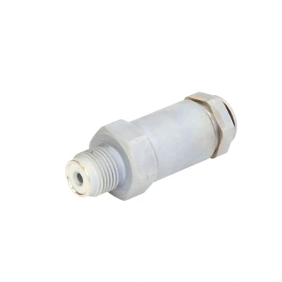 Kuva Paineenrajoitinventtiili, Common Rail järjestelmä BOSCH 1 110 010 035