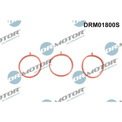 Kuva DR.MOTOR AUTOMOTIVE DRM01800S Tiivistesarja, Imusarja